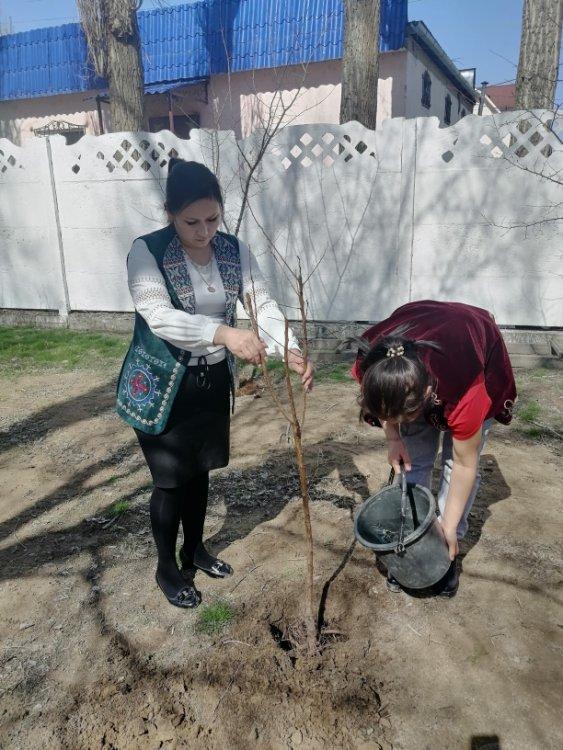 "Әр жанұядан - бір ағаш" жеміс ағашын өтырғызу челлендж